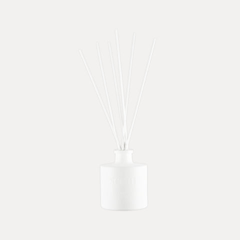 Scent inspired by Daily Routine Shampoo