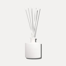 Scent inspired by Daily Routine Shampoo